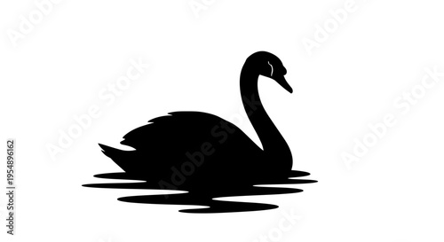 Black Swan Silhouette on Water 1.