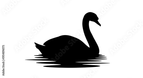 Black Swan Silhouette on Water 3.