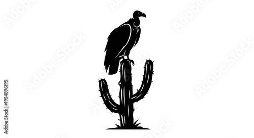 Black Vulture on Cactus.