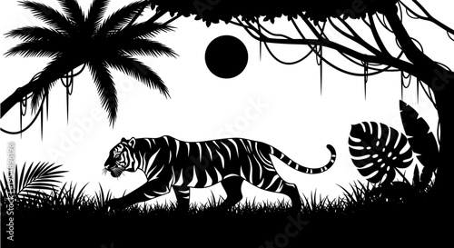 Black tiger walking in jungle.