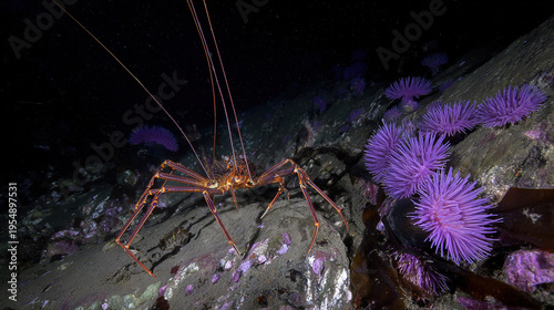 Deep-Sea Spider Crab Crawling Among Bioluminescent Plants