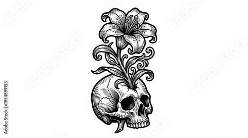 Elegant black‑white illustration of a skull with intricate floral motifs, viewed in profile against a minimalist white backdrop