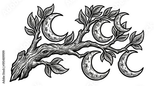 Exploring a Mystical Branch with Leaves and Crescent Moons in a Detailed Black-and-White Line Drawing from a Central Horizontal Perspective