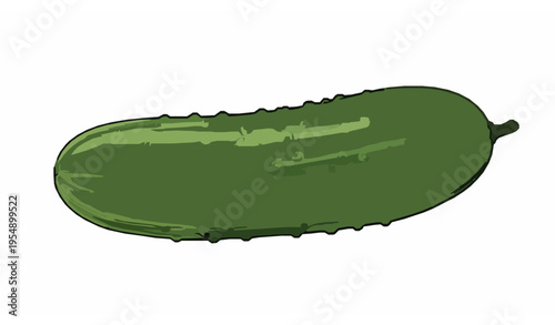 Hand-drawn vector cucumber illustration for vegetable coloring pages and farm produce designs