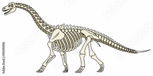 "A professional, ultra high-resolution 3D photorealistic render of a complete Brachiosaurus dinosaur skeleton, isolated on a solid white background. The fossil is shown in a full-body side profile, fe