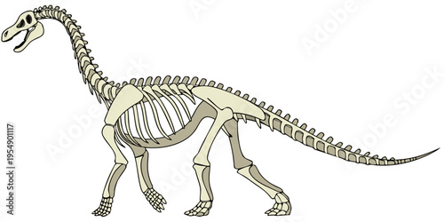 "A professional, ultra high-resolution 3D photorealistic render of a complete Brachiosaurus dinosaur skeleton, isolated on a solid white background. The fossil is shown in a full-body side profile, fe