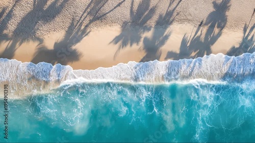 Top view of a tropical beach with shadows of palm trees, abstract aerial drone view of a perfect empty sandy beach, HD video footage, seamless loop