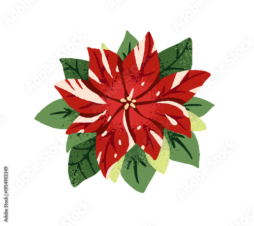 Christmas poinsettia. Festive red flower with leaves for Xmas decoration. Traditional floral ornament, decor for winter holidays. Flat isolated watercolor vector illustration on white background