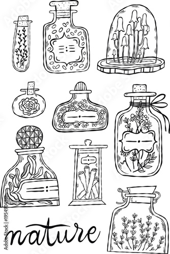 Handdrawn line art botanical apothecary bottles and jars with herbs set lettering nature
