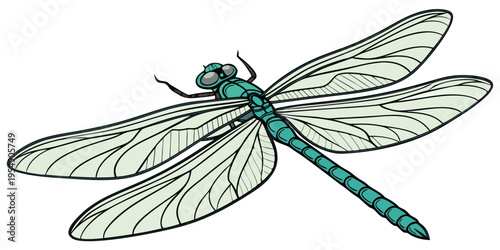 "A professional, ultra high-resolution 3D photorealistic render of a dragonfly, isolated on a solid white background. The insect is shown in a top-down symmetrical view, featuring vibrant iridescent e