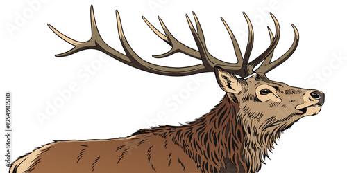 "A professional, ultra high-resolution photorealistic render of a majestic Red Deer stag, isolated on a solid white background. The deer is shown from the chest up in a noble front-facing pose, featur