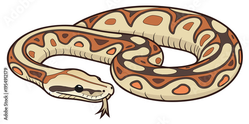 "A professional, ultra high-resolution 3D photorealistic render of a boa constrictor snake, isolated on a solid white background. The snake is shown in a dynamic, coiled S-curve pose with its head fac