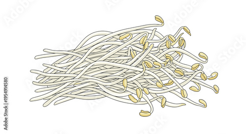 Detailed illustration of a fresh pile of bean sprouts, characterized by their crisp white stems and small yellow tips, commonly used in Asian cooking.