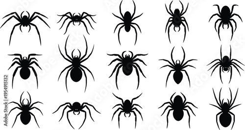 Large collection of black spider silhouettes and creepy insect icons isolated on white background for Halloween decoration and nature vector graphic design projects (24 words)