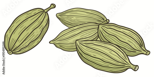 "A professional, ultra high-resolution photorealistic render of six whole green cardamom pods (Elettaria cardamomum), isolated on a solid white background. The pods are arranged in a clean row with tw