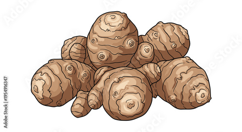 Rustic illustration of a pile of Jerusalem artichokes, showing their irregular, knobby shapes and light brown skin, harvested and ready for cooking.