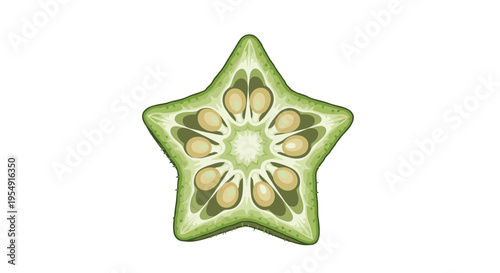Detailed cross-section illustration of an okra pod, showcasing its distinctive star shape, internal seeds, and mucilaginous texture, on a white background.
