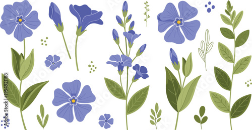 Blue botanical flowers and leaves set, elegant floral elements collection for spring design decoration and nature vector illustration