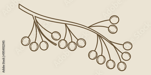 Of a branch with berries berry nature botanical plant