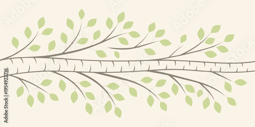 Light green leaves on a birch tree branch with beige background