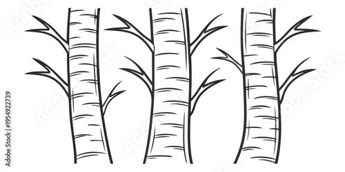 Group of white birch tree trunks with black lines on a white background trees