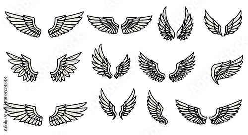 A diverse collection of stylized bird and angel wings, perfect for graphic design, emblems, or tattoo concepts, embodying freedom and flight in various forms