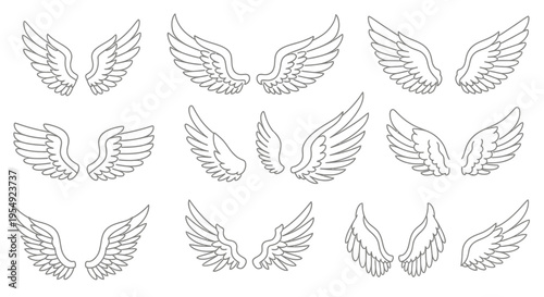 Collection of various elegantly drawn angel wings, isolated on white background for diverse design applications