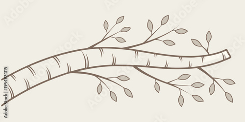 Brown of a curved birch branch with leaves leaf simple