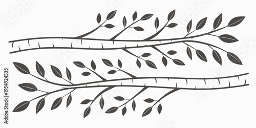 Black and white of tree branches with leaves leaf