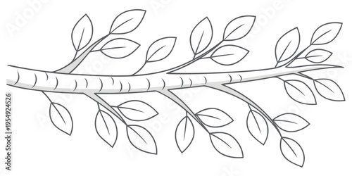 Black and white of a tree branch with leaves