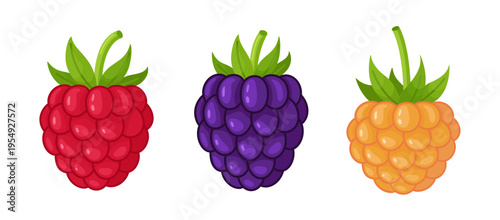 Red, purple, and golden raspberries set. Hand drawn flat style isolated. Perfect for stickers, menus, apps, posters, design, showcasing fruit varieties in organic packaging, healthy lifestyle blogs.