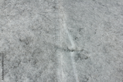 Snow texture with waves and barkhans. The frozen sea