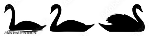 Swan set with black silhouette swimming in calm water featuring graceful, minimalist, vector illustration with aquatic and wildlife