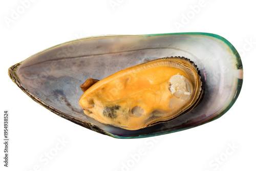 Quadro su tela Fresh New Zealand green-lipped mussels isolated on transparent background, high-