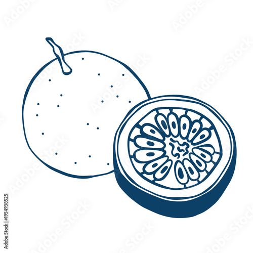 Hand drawn passion fruit in sketch style. Whole and cut tropical fruit with seed. Minimal line art vector illustration. Exotic food element for packaging, menu, print design and branding