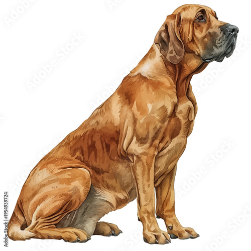 Dog, clipart watercolor vector, isolated on a white background.