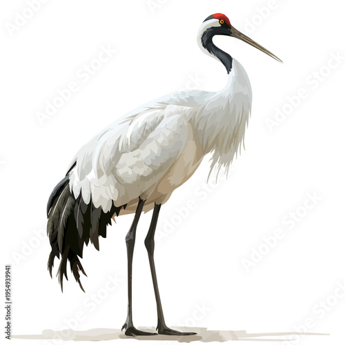 Crane, vector clipart in watercolor with smooth gradients, isolated on a white background.