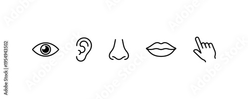 Human senses icons set eye ear nose lips hand