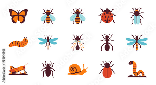 Diverse collection of colorful insects and bugs on a white background.