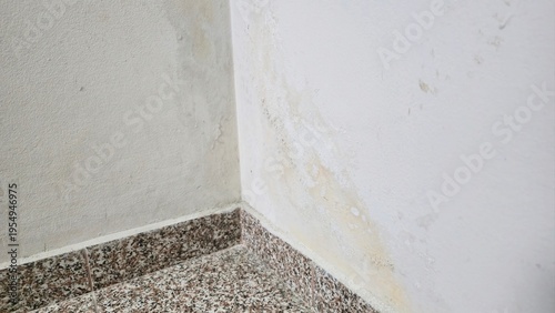 damp wall corner with mold stains and peeling paint, moisture damage in apartment interior, problem of humidity, leakage and poor ventilation conditions