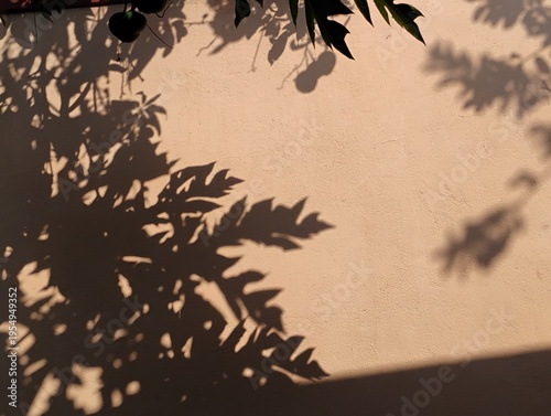 grunge background with tree