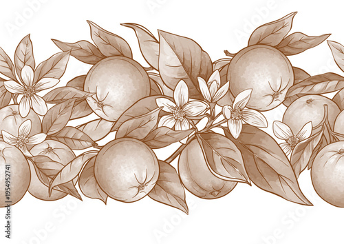 Oranges and citrus blossoms seamless botanical pattern. Hand-drawn fruit, branches, leaves, and natural flowers for vintage textile, wallpaper, kitchen, and food design. Classic motif.
