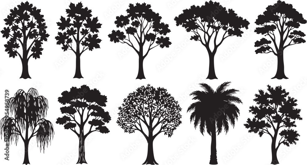 Fototapeta premium Black vector illustration set of tree silhouettes featuring pine, oak, and birch branches for nature design patterns