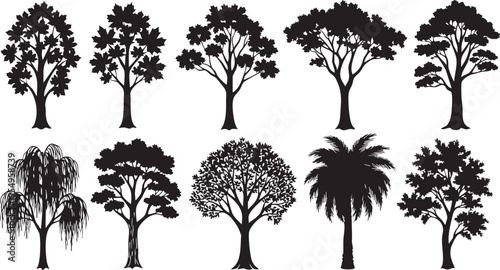 Black vector illustration set of tree silhouettes featuring pine, oak, and birch branches for nature design patterns