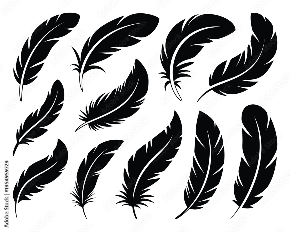 Obraz premium Boho feather silhouette set, autumn festival decoration, tribal costume element, poetry reading event graphic, thanksgiving craft clipart, elegant vector illustration