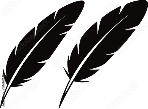 Two black feathers on a white background illustration