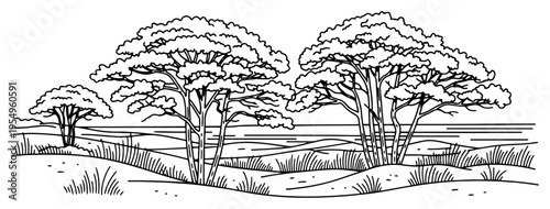 Minimalist line art landscape showing iconic acacia trees on the African savanna