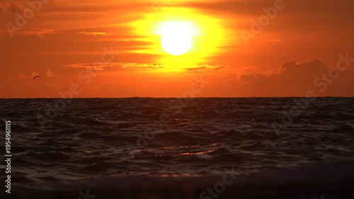 Telephoto Sunset Over Ocean with Sun Reflections and Flying Seabirds
