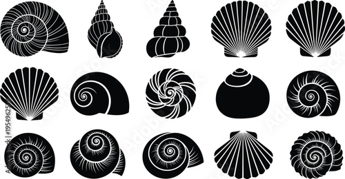 Collection of Seashell Silhouettes Featuring Scallop Shells Spiral Snail Shells and Various Marine Mollusk Shapes for Summer Coastal Beach Vector Design