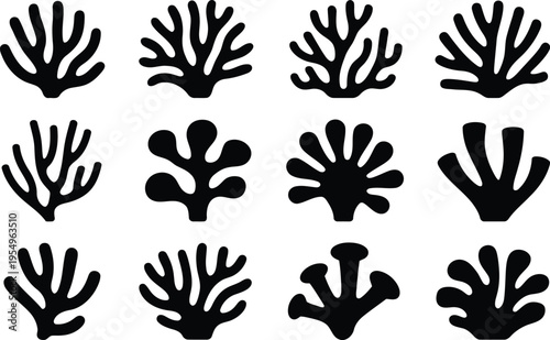 A diverse collection of black coral and marine plant silhouettes isolated on a clean white background